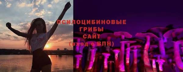 тгк Абаза