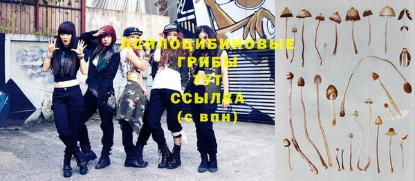 синтетический гашиш Абинск